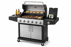 6 Burner Propane Gas Grill Review: 65,800 BTUs & Side Burner